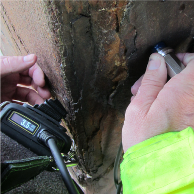 Cygnus 2+ Hands Free (UTM) - Image 5